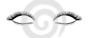 Beautiful long vector black eyelashes illustration isolated on white background