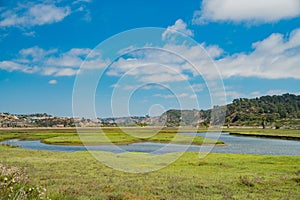 The beautiful Los Penasquitos Lagoon wetland