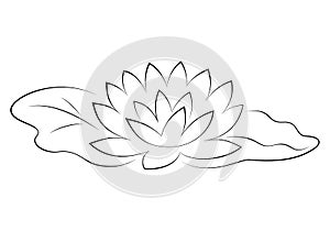 Beautiful lotus flower black silhouette with leaves in pond.