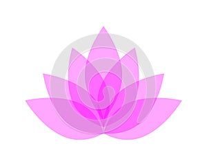 Beautiful lotus flower in bloom with pink petals in multilayer design