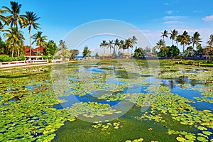 Beautiful lotus lagoon in Candidasa, Bali photo