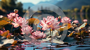 Beautiful lotus pond. Generative AI.