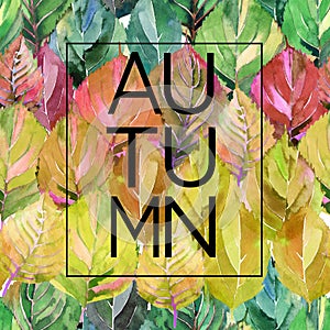 Beautiful lovely cute graphic bright floral herbal autumn green yellow red autumn leaves background card with lettering autumn wa