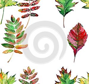 Beautiful lovely cute wonderful graphic bright floral herbal autumn red orange green yellow maple rowan leaves frame watercolor