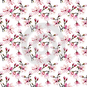 Beautiful lovely tender herbal wonderful floral summer pattern of a pink Japanese magnolia flowers