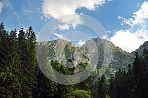 Beautiful Low Tatras landscape with forest in the foreground. Majestic pine trees of Tatra mountain range near Zakopane, Poland