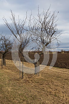 A beautiful lowland landscape overlooking the Palava region. Dark clouds in the sky. Fields and meadows