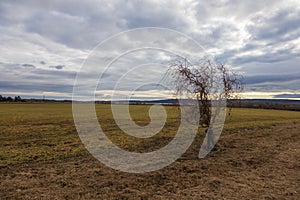 A beautiful lowland landscape overlooking the Palava region. Dark clouds in the sky. Fields and meadows