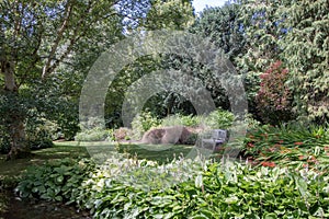 Beautiful lush green foliage. Typical English country garden in Summer