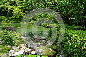 Beautiful lush green japanese garden landscape with shades of green plant, stone and lotus pond on sunny day, Beppu