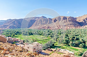 Beautiful lush green oasis with buildings and mountains at Todra Gorge, Morocco, North Africa