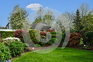 Beautiful lush home garden in spring