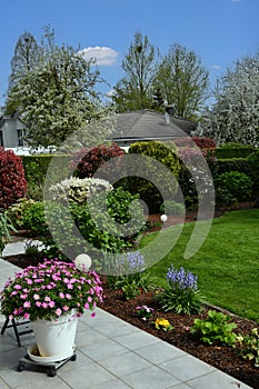 Beautiful lush home garden in spring