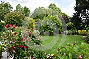 Beautiful lush home garden in summer