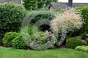 Beautiful lush home garden in summer