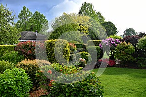 Beautiful lush home garden in summer photo