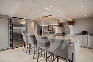 Beautiful luxurious traditional style modern kitchen in grey