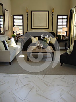Beautiful Luxury Living Room photo
