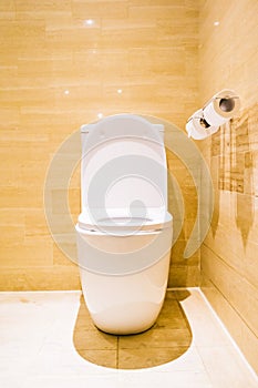 Beautiful luxury white toilet seat and bowl