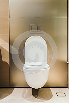 Beautiful luxury white toilet seat and bowl