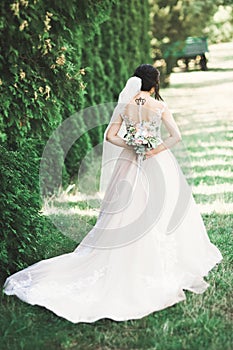 Beautiful luxury young bride in wedding dress posing in park