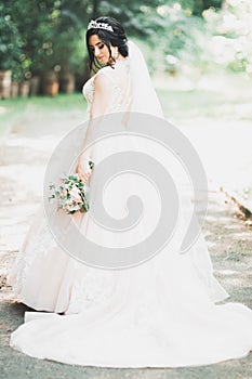 Beautiful luxury young bride in wedding dress posing in park