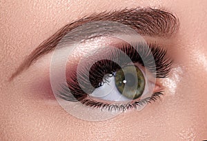 Beautiful Macro Female Eye with Extreme Long Eyelashes and Celebrate Evening Makeup. Perfect Shape Brow, Fashion Lashes