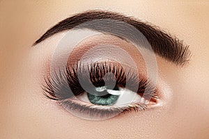 Beautiful Macro Female Eye with Extreme Long Eyelashes and Celebrate Makeup. Perfect Shape Make-up, Fashion Long Lashes