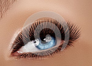 Beautiful Macro Female Eye with Extreme Long Eyelashes and Celebrate Makeup. Perfect Shape Make-up, Fashion Long Lashes