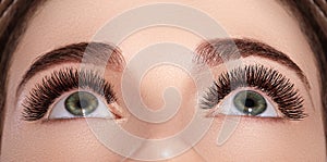 Beautiful Macro Female Eye with Extreme Long Eyelashes and Celebrate Makeup. Perfect Shape Make-up, Fashion Long Lashes