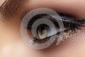 Beautiful Macro Female Eye with Extreme Long Eyelashes and Celebrate Makeup. Perfect Shape Make-up, Fashion Long Lashes