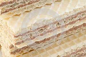 Beautiful macro of hazelnuts wafer