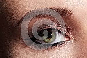 Beautiful Macro Shot of Female Eye with Classic Eyeliner Makeup. Perfect shape of eyebrows. Cosmetics and make-up photo