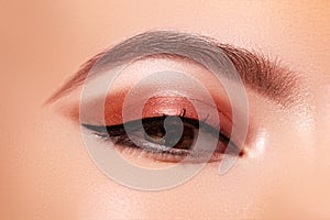 Beautiful Macro Shot of Female Eye with Classic Eyeliner Makeup. Perfect shape of eyebrows. Cosmetics and make-up photo