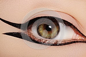 Beautiful Macro Shot of Female Eye with Classic Eyeliner Makeup. Perfect shape of eyebrows. Cosmetics and make-up