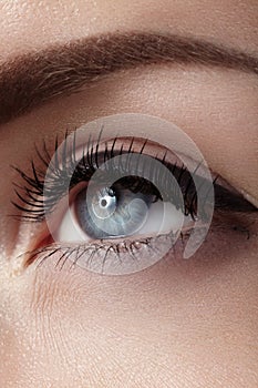 Beautiful macro shot of female eye with classic smoky makeup. Perfect shape of eyebrows, brown eyeshadows and long eyelashes