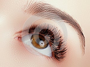 Beautiful macro shot of female eye with extreme long eyelashes and black liner makeup