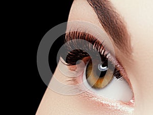 Beautiful macro shot of female eye with extreme long eyelashes and black liner makeup