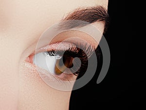 Beautiful macro shot of female eye with extreme long eyelashes and black liner makeup