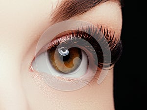 Beautiful macro shot of female eye with extreme long eyelashes and black liner makeup