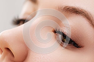 Beautiful macro shot of female eye with extreme long eyelashes and black liner makeup. Perfect shape make-up
