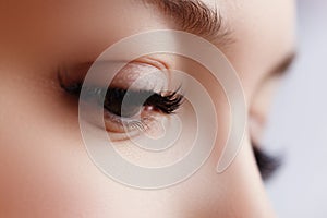 Beautiful macro shot of female eye with extreme long eyelashes and black liner makeup. Perfect shape make-up