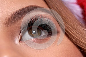 Beautiful macro shot of female eye with extreme long eyelashes and black liner makeup. Perfect shape make-up and long lashes.