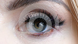 Beautiful macro shot of female eye with extreme long eyelashes. Perfect visage, make-up and long lashes.