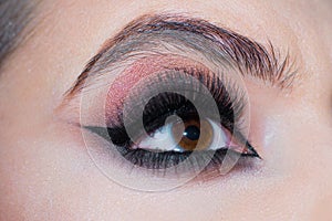 Beautiful macro shot of female eye with extreme long eyelashes and smoky makeup. Closeup macro shot of fashion eyes