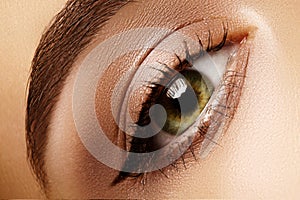 Beautiful Macro Shot of Female Eye with Eyeliner Makeup. Perfect shape of eyebrows. Cosmetics and make-up. Perfect Brow