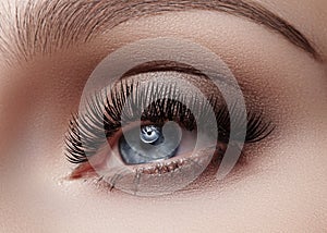 Beautiful macro shot of female eye with smoky makeup. Perfect shape of eyebrows