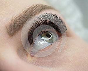 Beautiful macro shot of female open eye with eyelash extension. Natural look and bushy long lashes, close up, selective