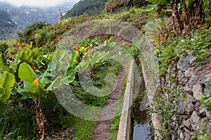 Beautiful Madeira irrigation levadas