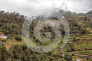 Beautiful Madeira island, terrace fields